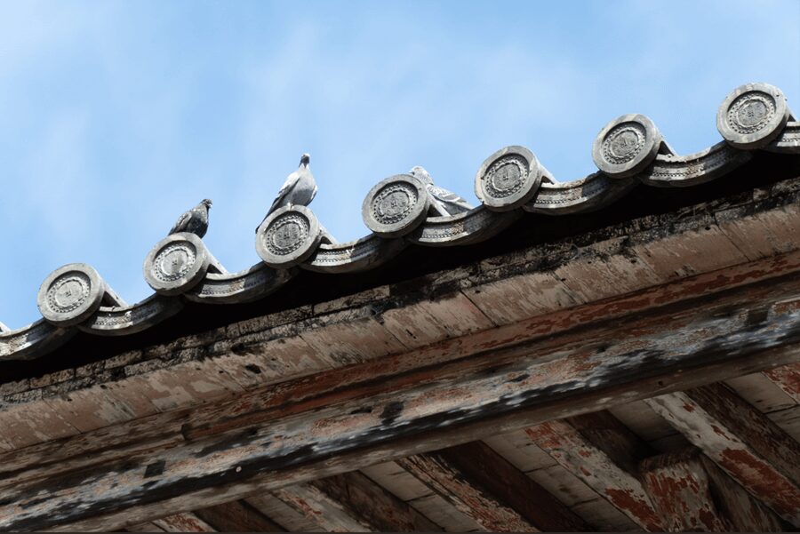 東大寺　南大門と鳩